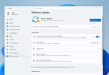 Windows 11 KB5101684 Preview Update: New Features, Fixes & Improvements How to Download Windows 11 KB5101684