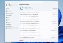 Windows 11 KB5101650 Update: Point-in-Time Restore, Screen Tint & More New Features Windows 11 KB5101650 Update