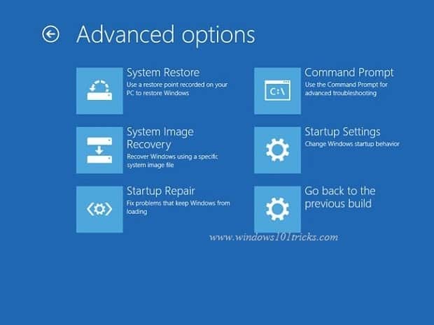 Windows 10 Advanced options