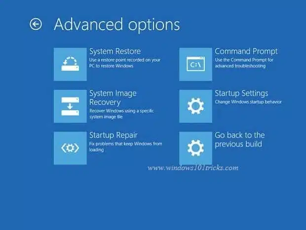 Windows 10 Advanced options
