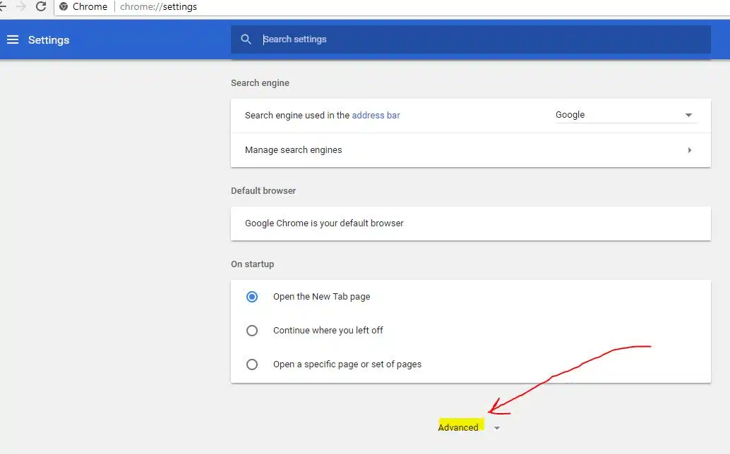 Chrome Browser Advanced option
