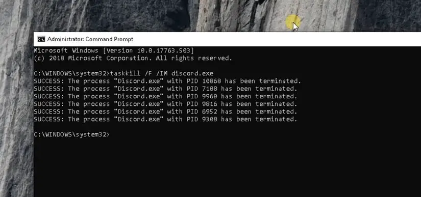 kill discord process