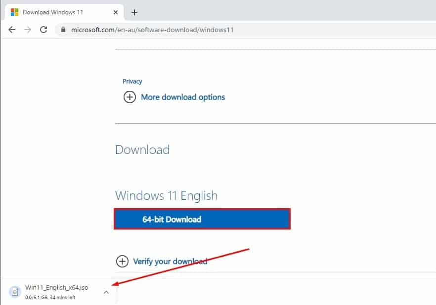 Windows 11 ISO downloading
