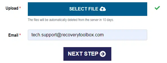 Recovery tool online repair