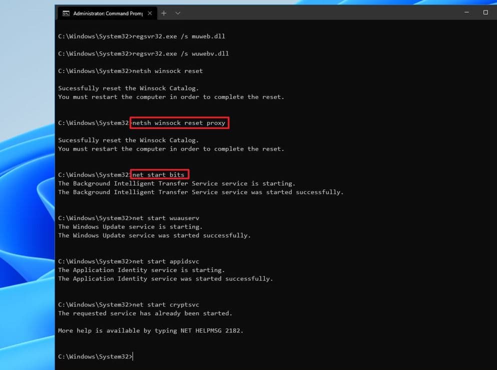 Reset network proxy settings