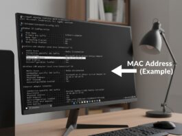What is MAC address in networking with example