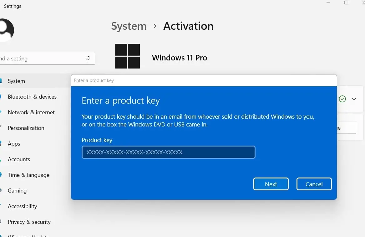 type windows 11 produce key