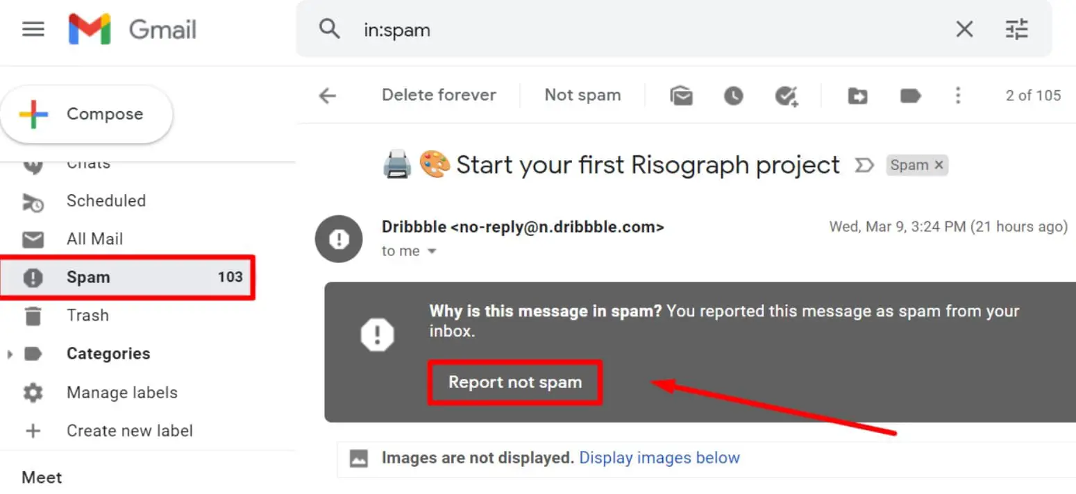 Report not spam