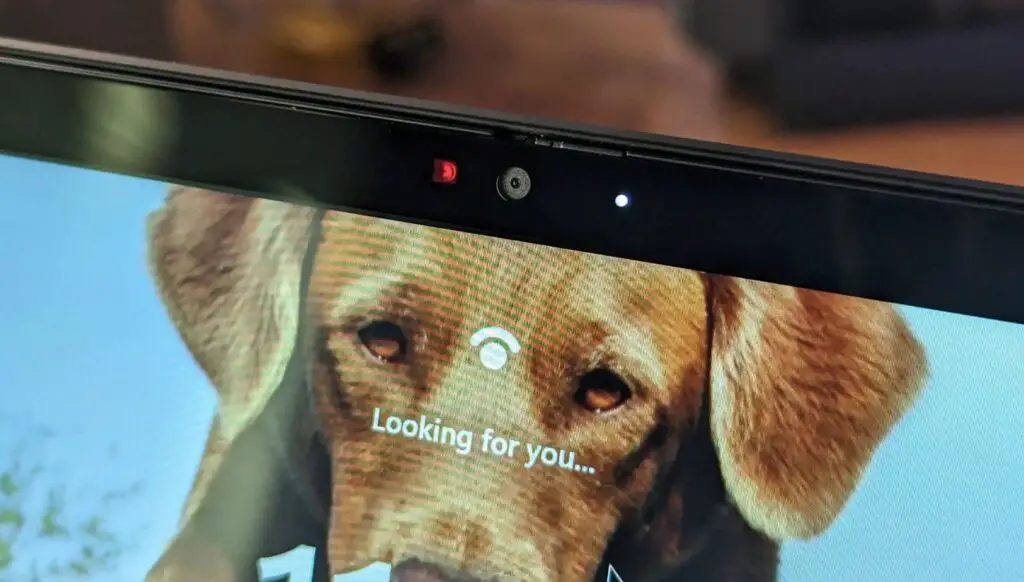 Stop Windows 11 from Spying on You