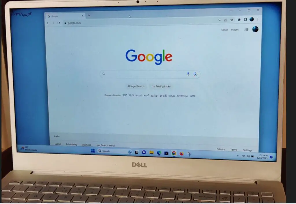 Google Chrome 117 Download