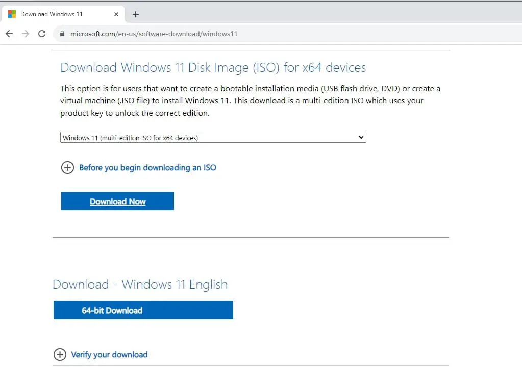 Windows 11 ISO download option