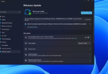 Download Windows 11 KB5055627
