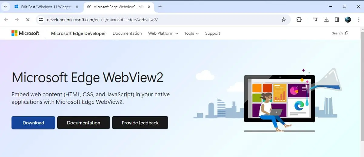 Microsoft Edge WebView2