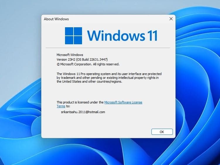 Windows 11 Build 22631.3447