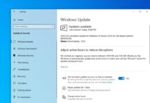 Download Windows 10 KB5055518