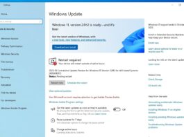 Windows 10 KB5061087