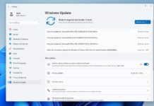 Windows 11 KB5060842 update