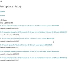 Windows 10 KB5066198