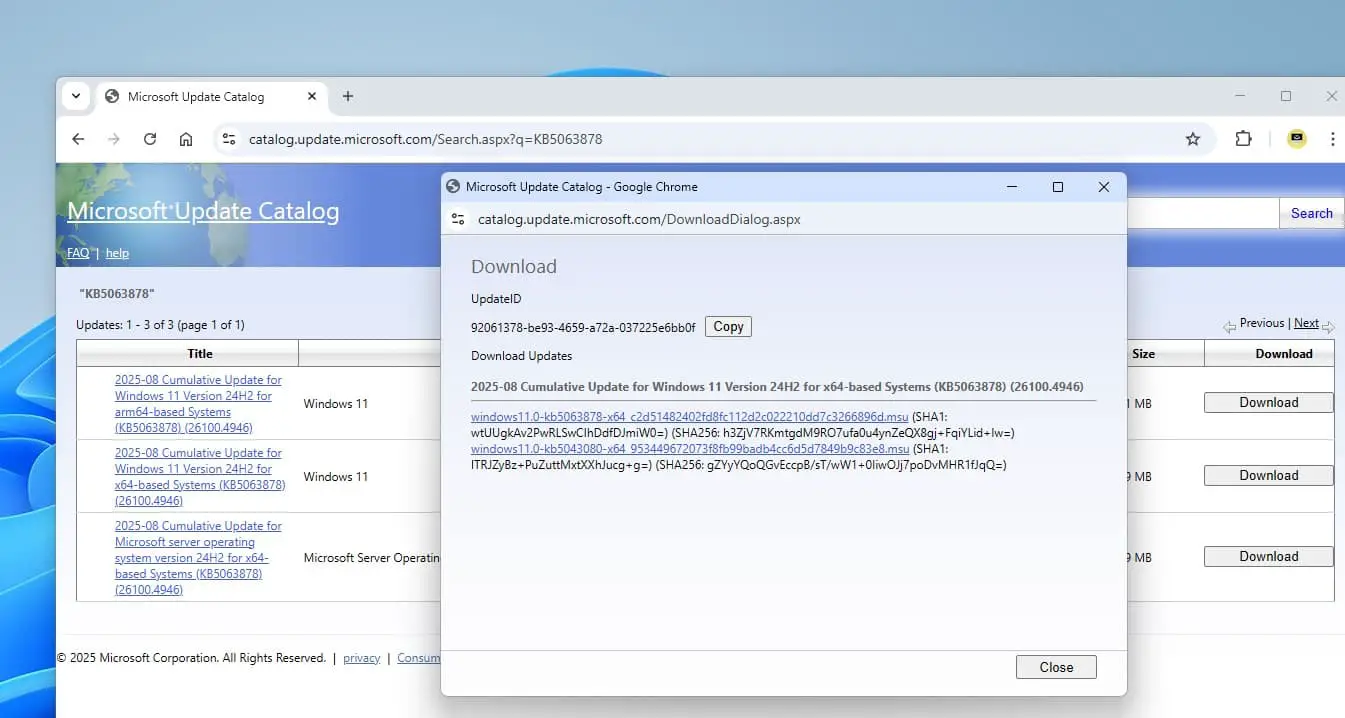 Windows 11 KB5063878 offline installer download