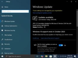 Windows 10 KB5066791 download