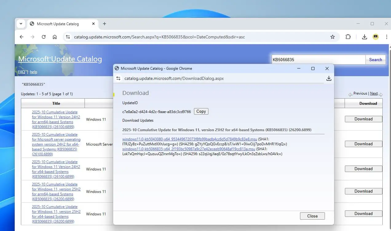 Windows 11 KB5066835 offline installer download